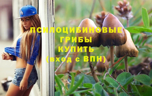 мдма Белокуриха