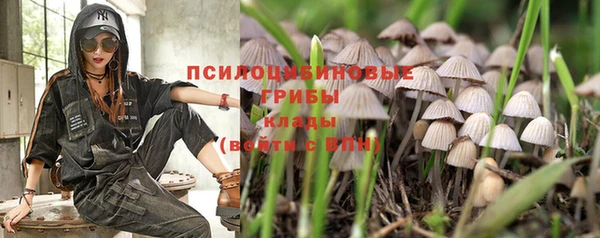 гашишное масло Беломорск
