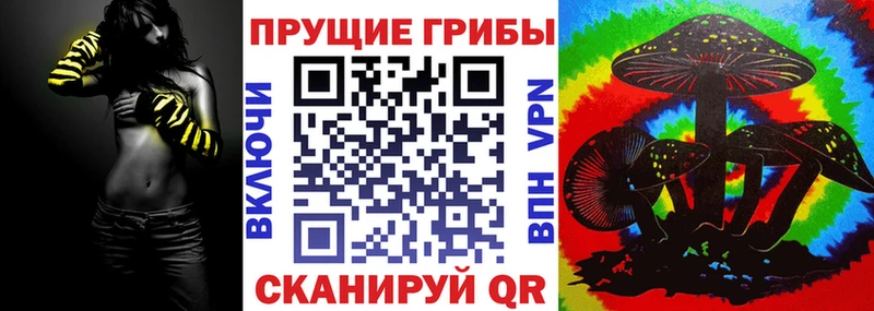 Галлюциногенные грибы MAGIC MUSHROOMS  где купить   блэк спрут ССЫЛКА  Саяногорск 