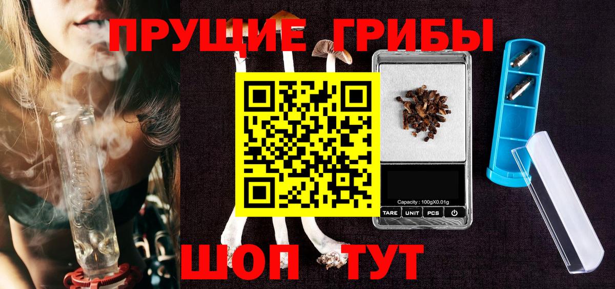 Псилоцибиновые грибы Psilocybine cubensis Саяногорск